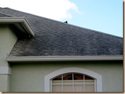 Preventing Costly Roof Repairs with Regular Soft Washing