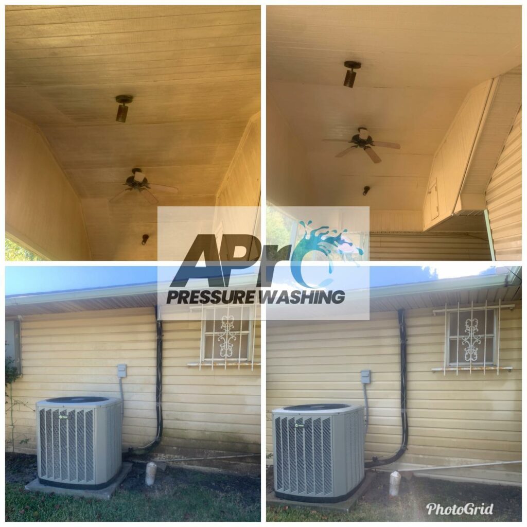 Can Mold Be Removed With A Pressure Washer? Can Mold Be Removed With A Pressure Washer?